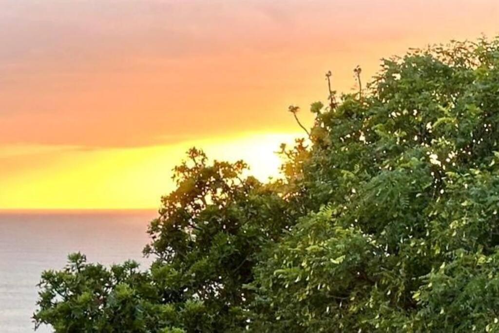 Sea View Sun Centre Apartment Plettenberg Bay Ngoại thất bức ảnh